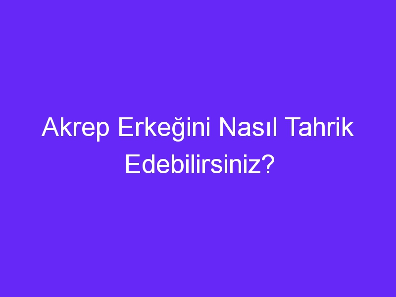 Akrep Erkeğini Nasıl Tahrik Edebilirsiniz?