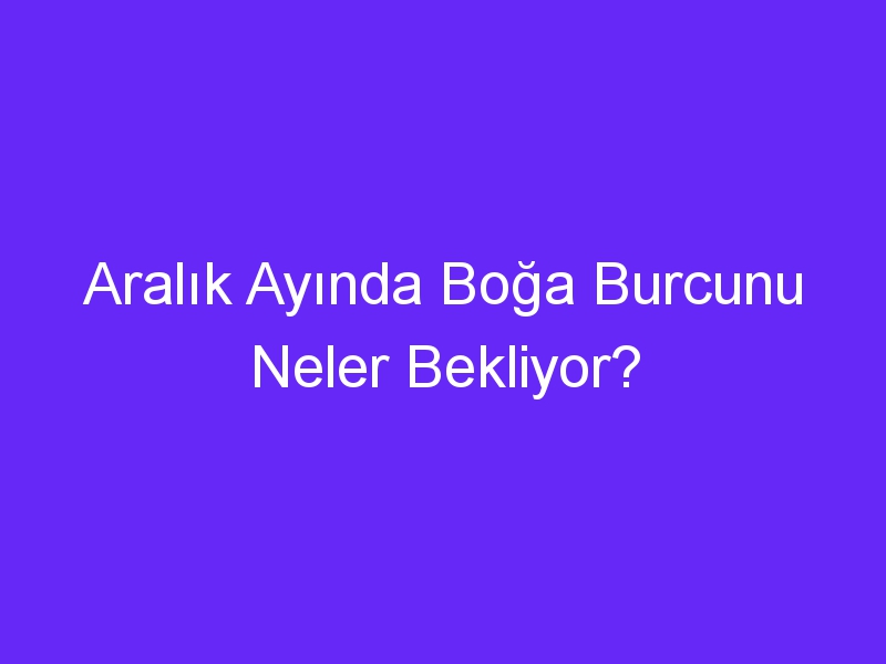 Aralık Ayında Boğa Burcunu Neler Bekliyor?