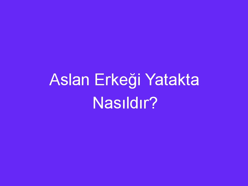 Aslan Erkeği Yatakta Nasıldır?