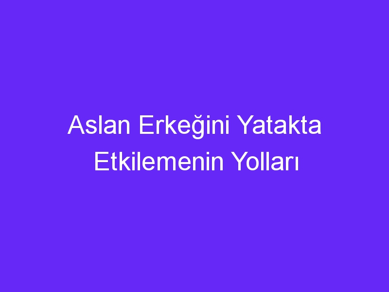 Aslan Erkeğini Yatakta Etkilemenin Yolları