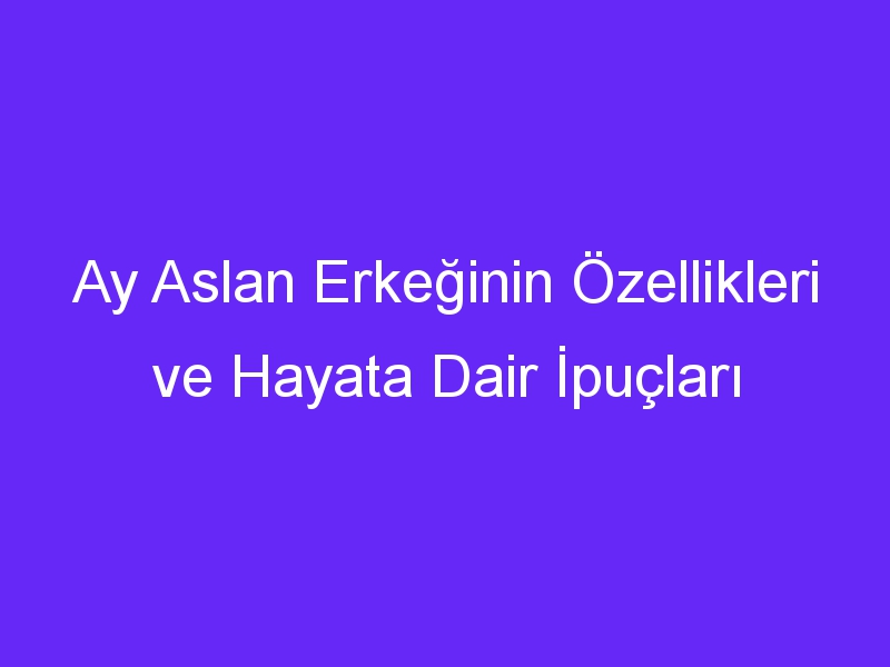 Ay Aslan Erkeğinin Özellikleri ve Hayata Dair İpuçları