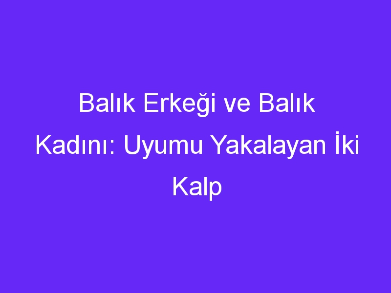 Balık Erkeği ve Balık Kadını: Uyumu Yakalayan İki Kalp