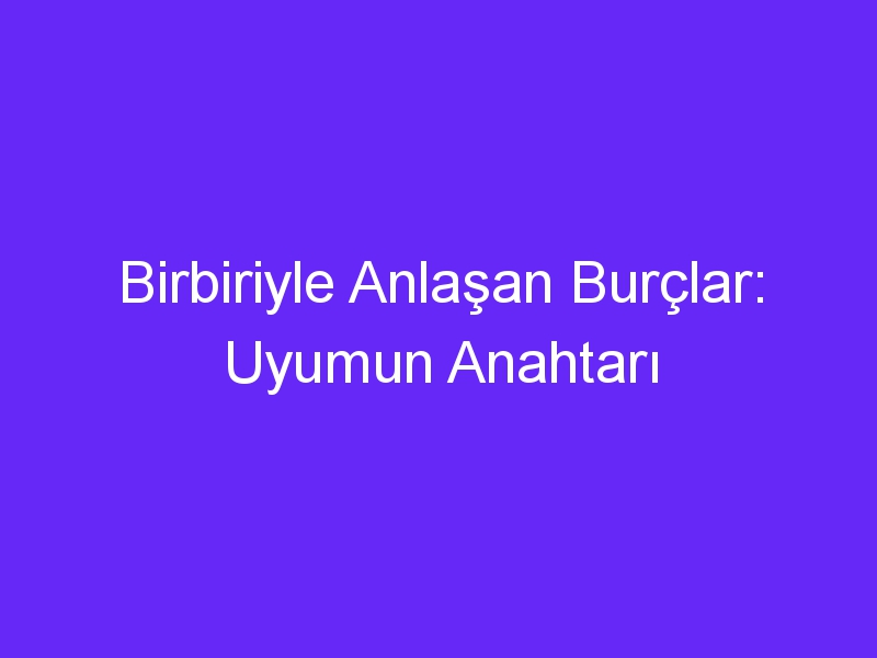 Birbiriyle Anlaşan Burçlar: Uyumun Anahtarı