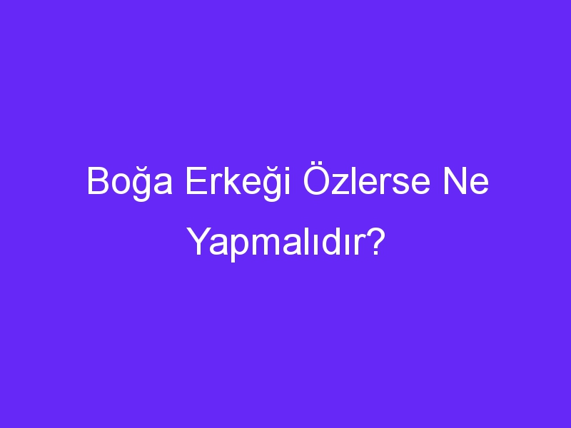 Boğa Erkeği Özlerse Ne Yapmalıdır?