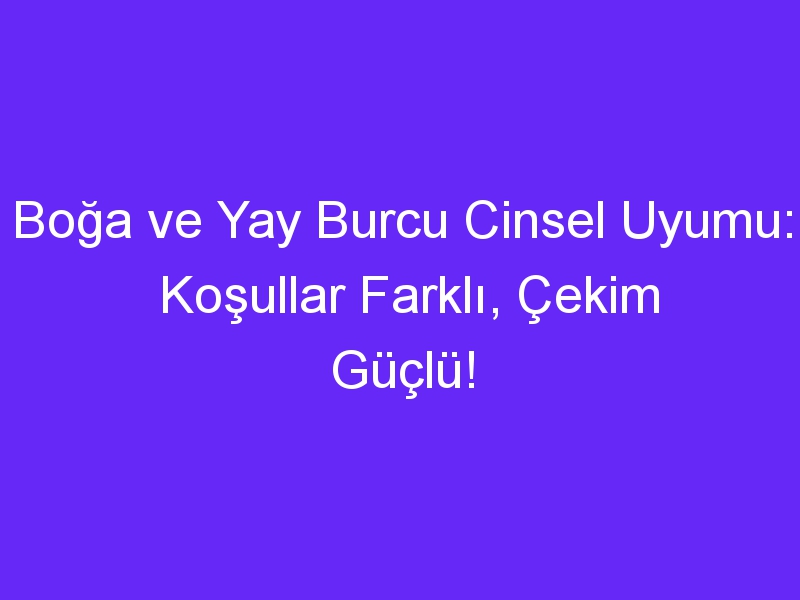 Boğa ve Yay Burcu Cinsel Uyumu: Koşullar Farklı, Çekim Güçlü!