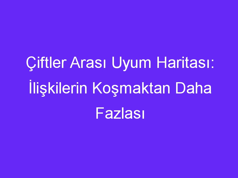 Çiftler Arası Uyum Haritası: İlişkilerin Koşmaktan Daha Fazlası