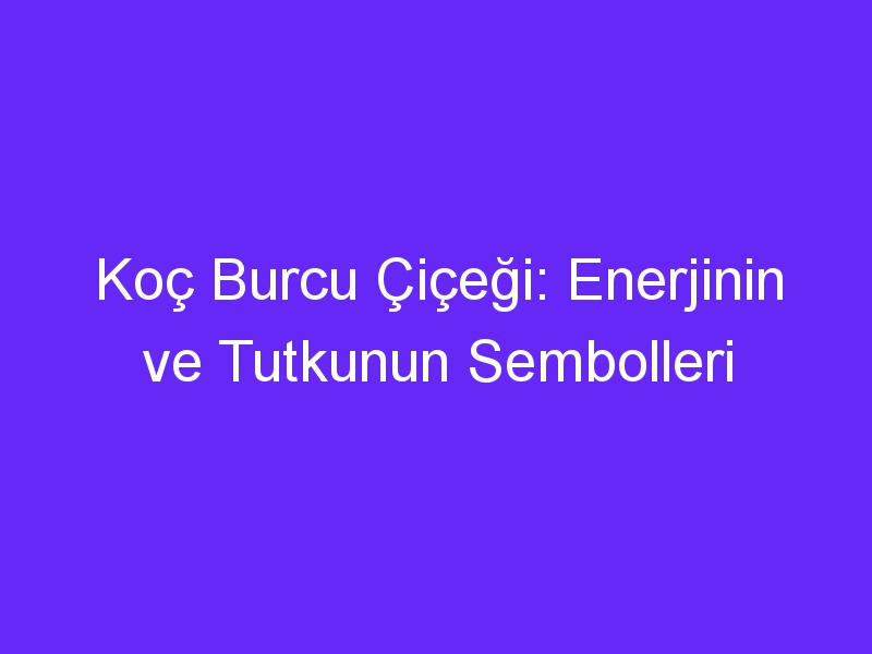 Koç Burcu Çiçeği: Enerjinin ve Tutkunun Sembolleri