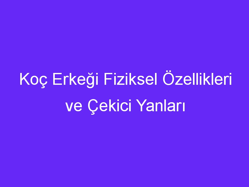 Koç Erkeği Fiziksel Özellikleri ve Çekici Yanları