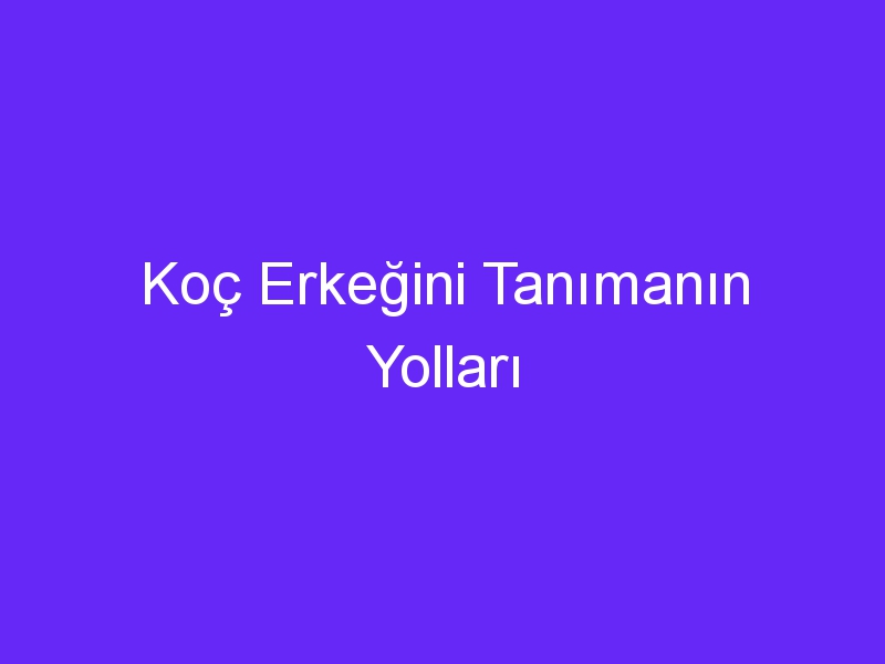 Koç Erkeğini Tanımanın Yolları