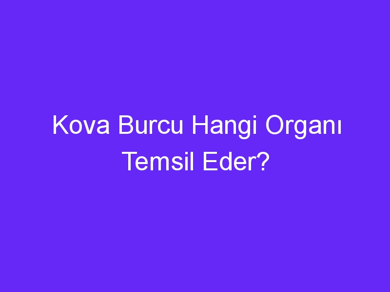 Kova Burcu Hangi Organı Temsil Eder?