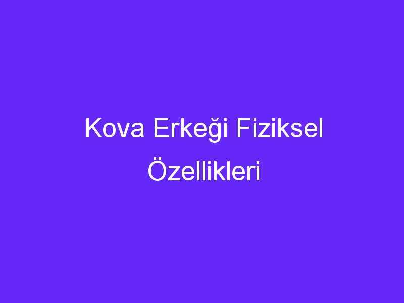 Kova Erkeği Fiziksel Özellikleri