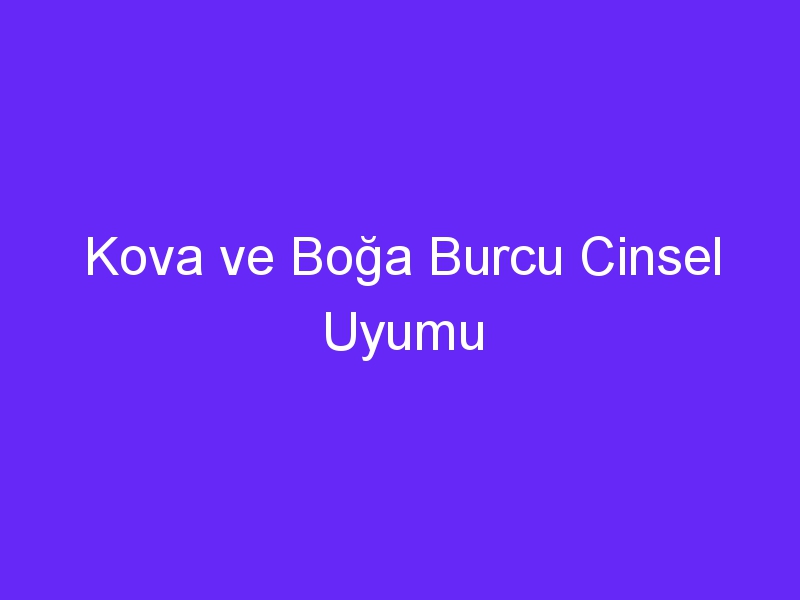 Kova ve Boğa Burcu Cinsel Uyumu