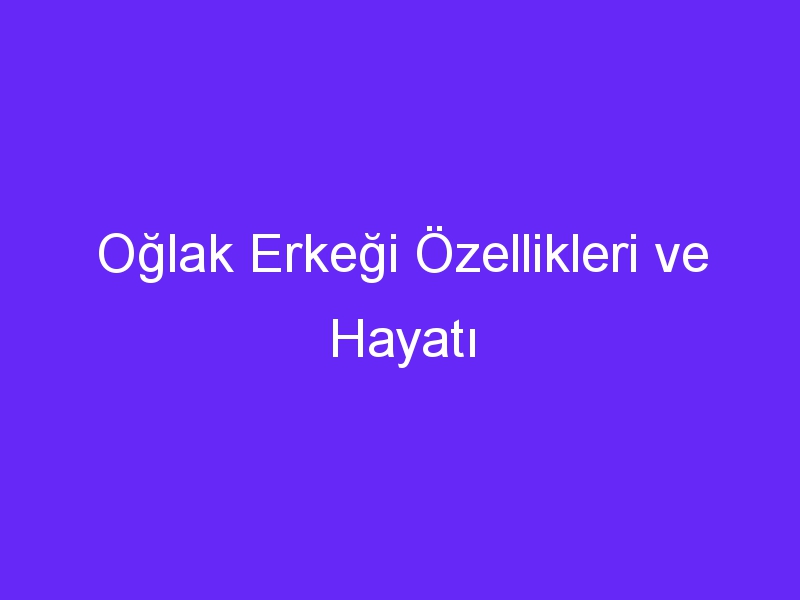 Oğlak Erkeği Özellikleri ve Hayatı