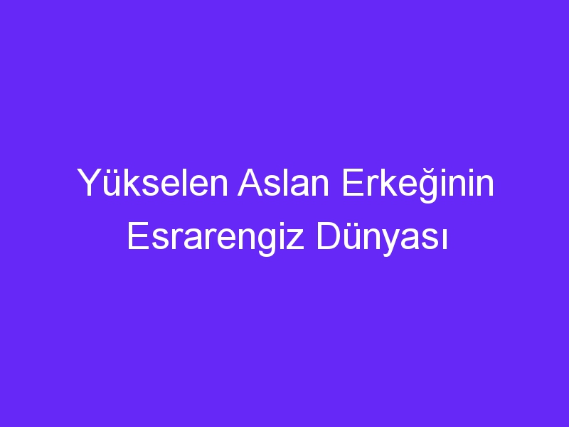 Yükselen Aslan Erkeğinin Esrarengiz Dünyası